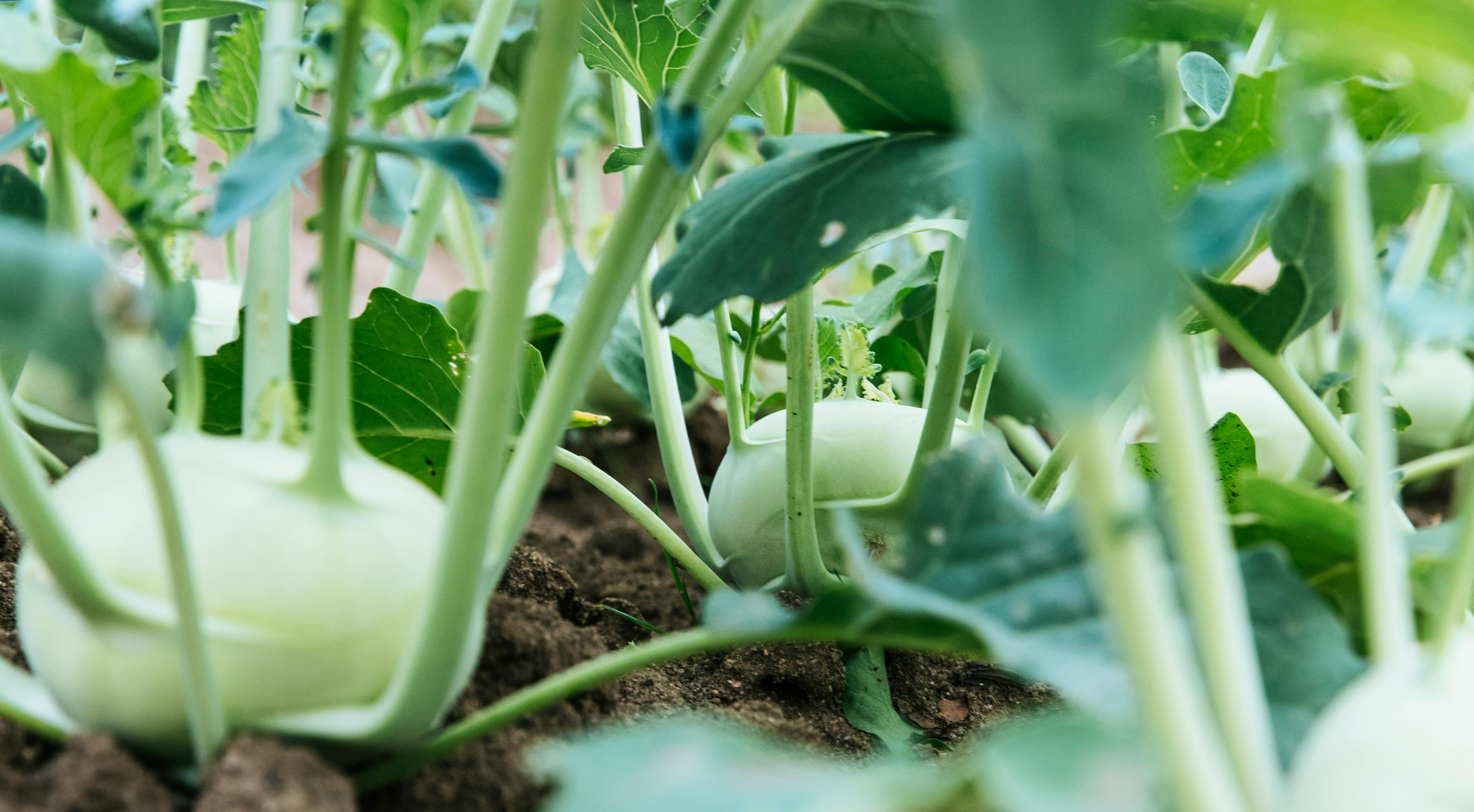 Sciences et Technologie